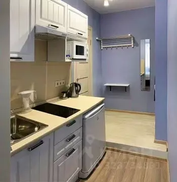 Студия Москва Внуковское поселение, ул. Летчика Ульянина, 7 (20.0 м)