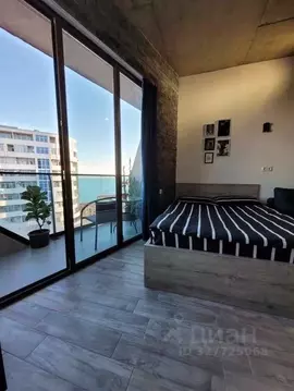 1-к кв. Краснодарский край, Сочи Центральный мкр, ул. Театральная, 11 ...