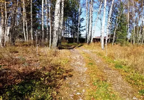 Участок в Томская область, Томский район, Зоркальцевское с/пос, с. ...