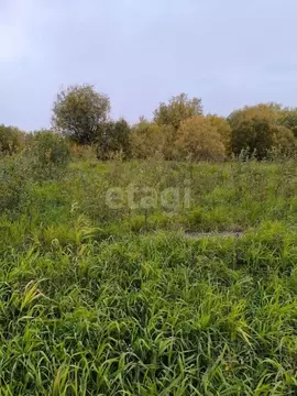 Участок в Ханты-Мансийский АО, Ханты-Мансийского муниципального района ...