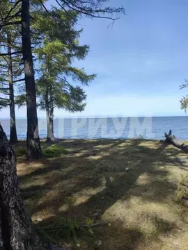 Участок в Бурятия, Кабанский район, с. Заречье  (2300.0 сот.)