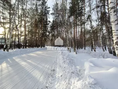 Участок в Татарстан, Лаишевский район, Орловское с/пос, д. Чистое ...