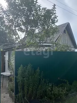 Дом в Брянская область, Брянск Садовод садовое общество,  (49 м)