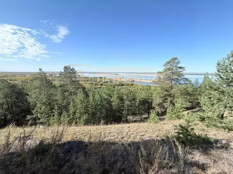 Участок в Саха (Якутия), Мегино-Кангаласский улус, Нижний Бестях пгт  ...