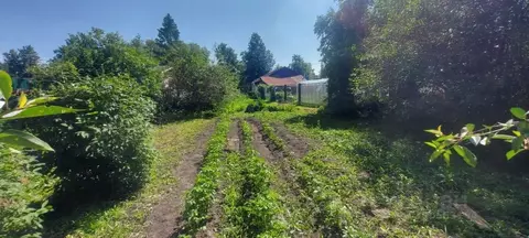 Участок в Владимирская область, Суздаль ул. Нетека (6.0 сот.)