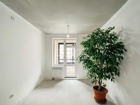 1-к кв. Санкт-Петербург аллея Арцеуловская, 9 (32.8 м)