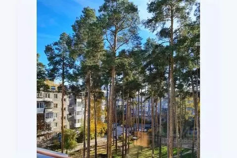 2-к кв. Свердловская область, Екатеринбург ул. Белореченская, 27к1 ...