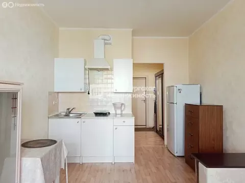 Квартира-студия: посёлок Шушары, Вилеровский переулок, 6 (23.1 м)