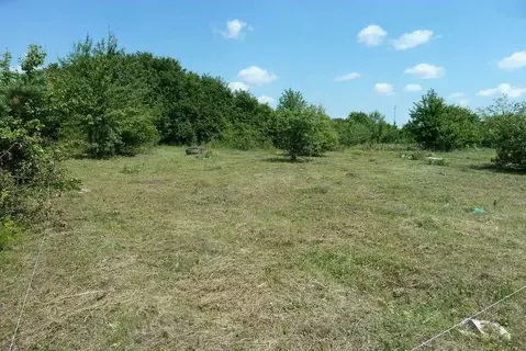 Участок в Воронежская область, с. Новая Усмань ул. Октябрьская (7.0 ...