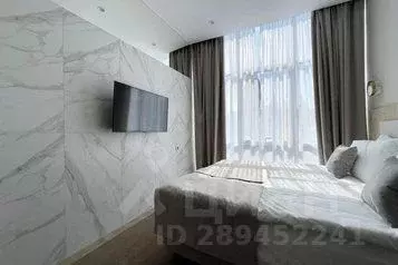 1-к кв. Краснодарский край, Сочи Центральный мкр, ул. Навагинская, 11 ...