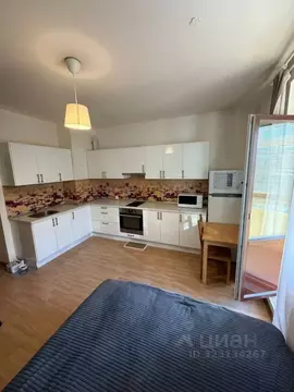 Студия Ленинградская область, Кудрово г. Всеволожский район, Заневское ...