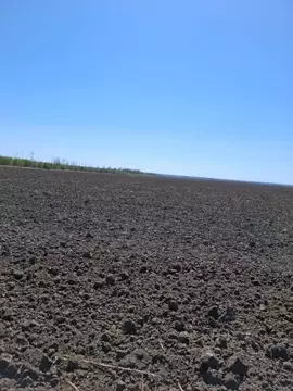Участок в Ростовская область, Азовский район, Александровское с/пос, ...