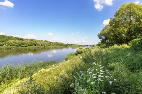 Участок в Воронежская область, Рамонский район, с. Новоживотинное ул. ...