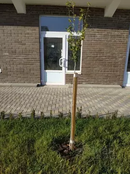 Помещение свободного назначения в Краснодарский край, Краснодар ...