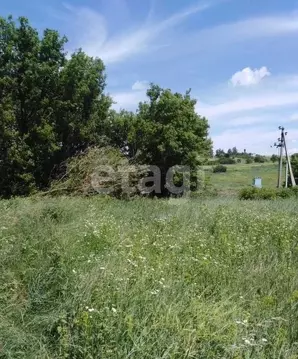 Участок в Курская область, Октябрьский район, Лобазовский сельсовет, ...