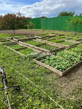 Участок в Московская область, Пушкинский городской округ, с. Ельдигино ...