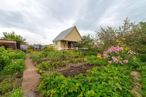 Участок в Челябинская область, Агаповский муниципальный округ, ...