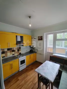 1-к кв. Ставропольский край, Ставрополь Любимая ул., 20 (39.8 м)