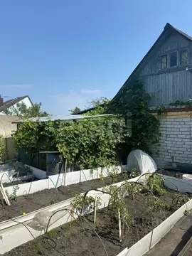 Дом в Брянская область, Брянск пос. Чайковичи,  (65 м)