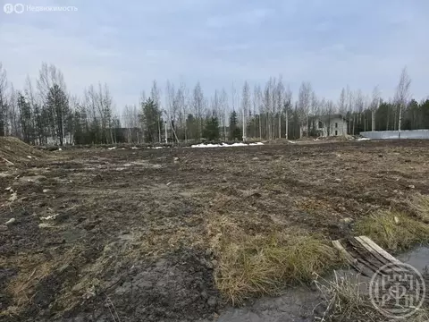 Участок в деревня Касимово, жилой комплекс Новокасимово, Цветочная ...