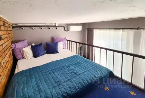 1-к кв. Алтайский край, Барнаул Красноармейский просп., 108 (20.0 м)