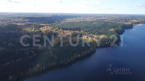 Участок в Ленинградская область, Приозерский район, Громовское с/пос, ...