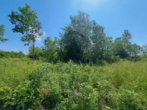 Участок в Краснодарский край, Апшеронск Коммунальная ул. (6.0 сот.)