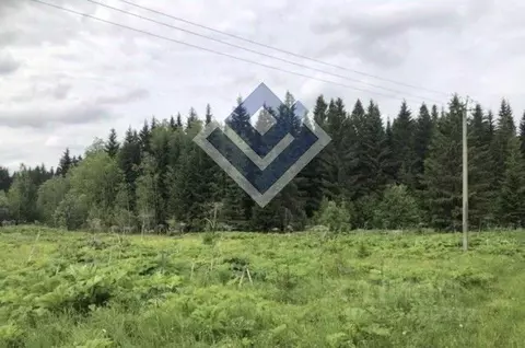 Участок в Пермский край, Краснокамский городской округ, с. Стряпунята ...