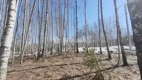 Участок в Владимирская область, Владимир ул. 2-я Сорокинская (10.62 ...