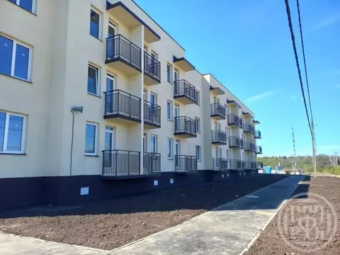 Студия Ленинградская область, Всеволожский район, Романовское с/пос, ...