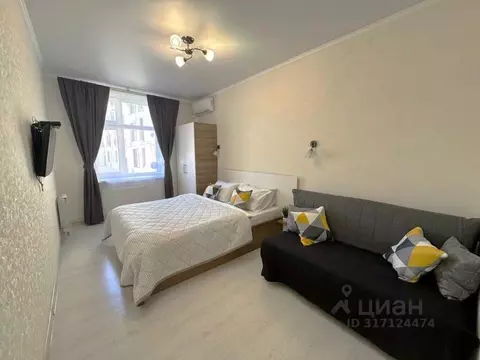 1-к кв. Татарстан, Казань ул. Чернышевского, 16 (65.0 м)