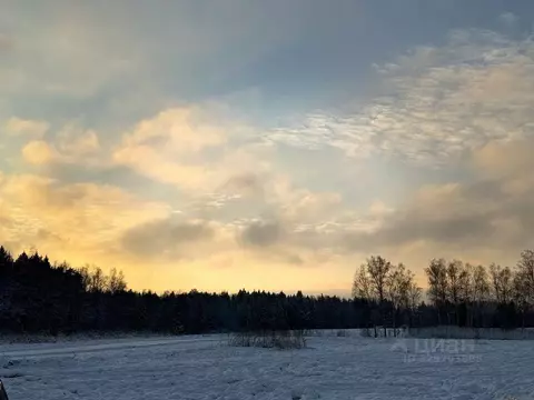 Участок в Московская область, Пушкинский городской округ, Софрино пгт  ...