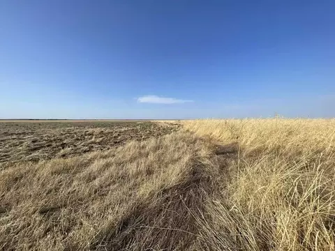 Участок в Крым, Кировский район, Абрикосовское с/пос, с. Кринички  ...