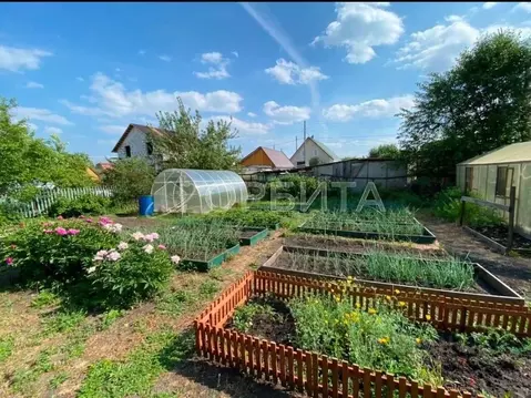 Дом в Тюменская область, Тюмень Ягодное СНТ, ул. Прировная (12 м)