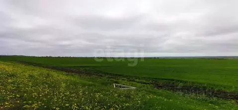 Участок в Крым, Ленинский район, Семисотское с/пос, с. Каменское ул. ...