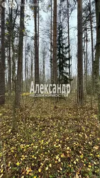 Участок в Ларионовское сельское поселение, садовые участки (10 м)