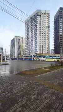 Студия Красноярский край, Красноярск Октябрьская ул., 10Б (24.0 м)