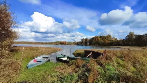 Дом в Костромская область, Макарьевский муниципальный округ, д. Домань ...