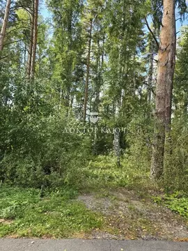 Участок в Новосибирская область, Новосибирск Серебряный лес кп,  (25.0 ...