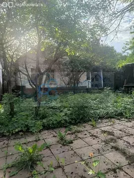 Дом в Саратов, СТ Буревестник-170 (26.5 м)