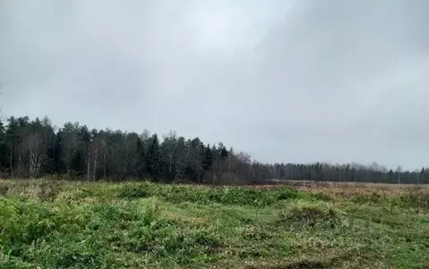 Участок в Московская область, Дмитровский муниципальный округ, д. ...