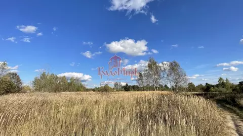 Участок в Владимирская область, Александровский муниципальный округ, ...