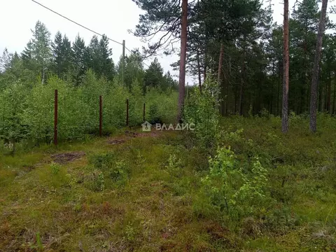 Участок в Коми, Корткеросский район, Посад СДТ 5-я линия (10.0 сот.)