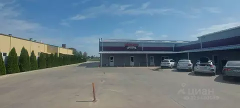 Помещение свободного назначения в Краснодарский край, Динской район, ...