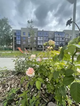 2-к кв. Ярославская область, Ярославль Клубная ул., 20 (55.31 м)