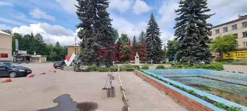 Торговая площадь в Пензенская область, Каменка ул. Чернышевского (287 ...