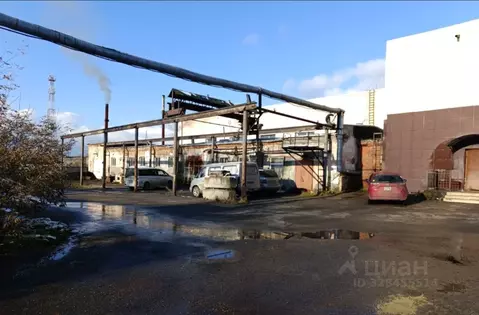 Помещение свободного назначения в Томская область, Томск Спичфабрика ...