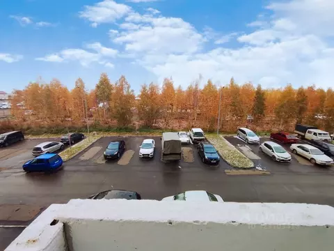 Студия Красноярский край, Красноярск ул. Светлова, 44 (24.2 м)