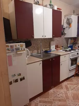 1-к кв. Московская область, Балашиха Кучино мкр, ул. Чаплыгина, 3 ...