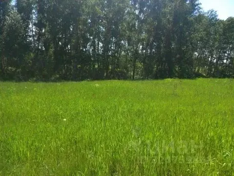 Участок в Новосибирская область, Новосибирский район, Морской ...